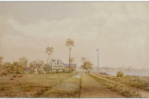 De plantages Nijd en Spijt en Alkmaar aan de rivier Commewijne in het noorden van Suriname, ca. 1860.Beeld Hollandse Hoogte / Koninklijk Instituut voor de Tropen