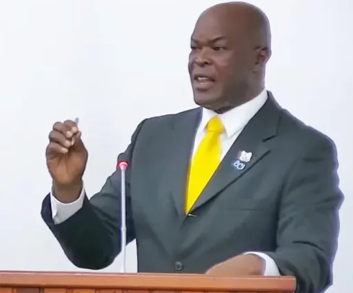 Brunswijk: onafhankelijkheid pg mag niet worden uitgehold