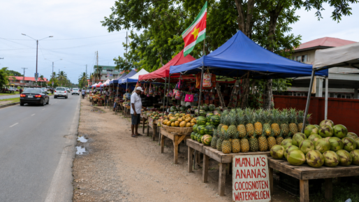 Dc Bhattoe laat illegale bermstandjes in Wanica controleren
