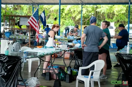 Slechts één sterilisatie- en castratieproject dit jaar door gebrek aan geld