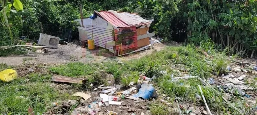 Column: Wegkijken is medeplichtig