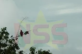 Wisselvallig weer met regenbuien 