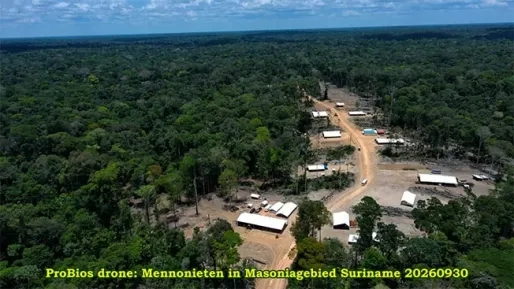 Sleur: Mennonietenkamp Masonia ligt buiten concessiegebied