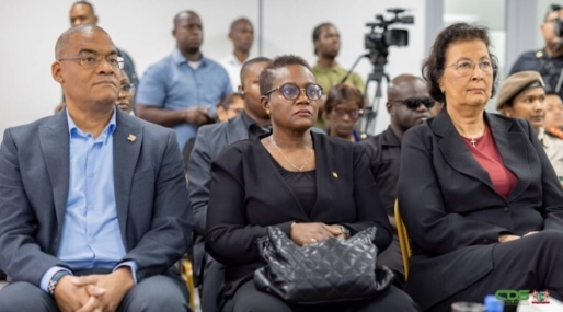 Kippen zonder kop in Paramaribo: Regering-Simons steekt kop in zand terwijl oliecrisis Suriname dreigt te wurgen