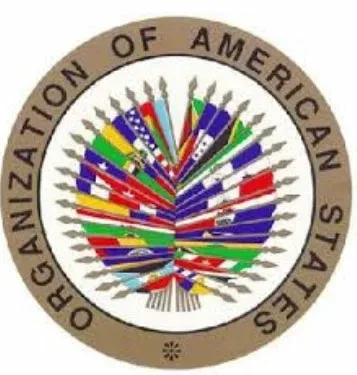 OAS roept op tot de-escalatie en respect voor internationaal recht