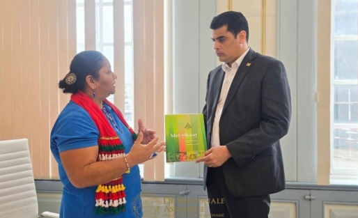 DNA-voorzitter Adhin in overleg met VIDS over grenskwestie Marowijnegebied