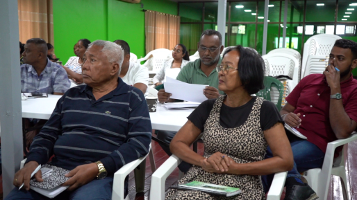 Citrussector krijgt extra impuls via IDB-project