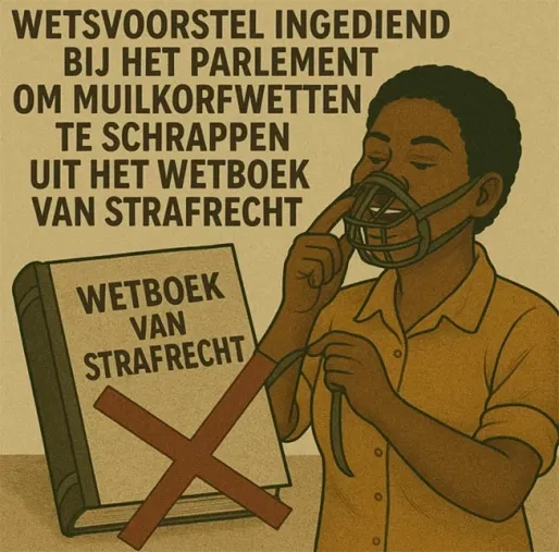 Initiatiefwet: ‘muilkorfartikelen’ schrappen uit strafrecht, vrije meningsuiting centraal