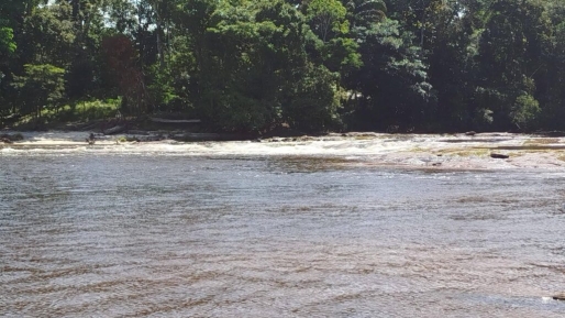 Toerist vermist na duik in recreatieoord