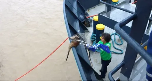 GHFS viert 20-jarig bestaan met duurzame workshops