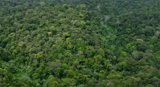 Column: Brownsberg kan toetssteen worden voor Surinames groene beloftes