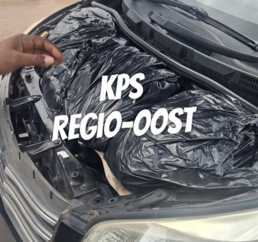 Man aangehouden met zakken vol krapé-eieren