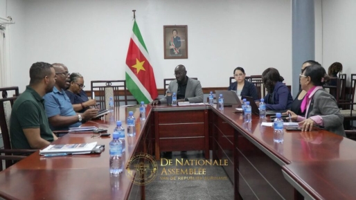 Commissie Naturalisatie bespreekt wetgeving voor Surinaamse voetballers van Surinaamse komaf