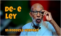 Embedded thumbnail for leyman