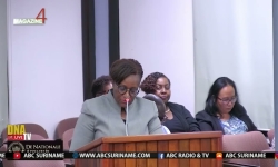 Embedded thumbnail for Minister Wijnerman kondigt strenger fiscaal beleid aan