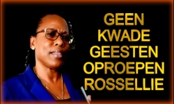 Embedded thumbnail for ROSSELLIE